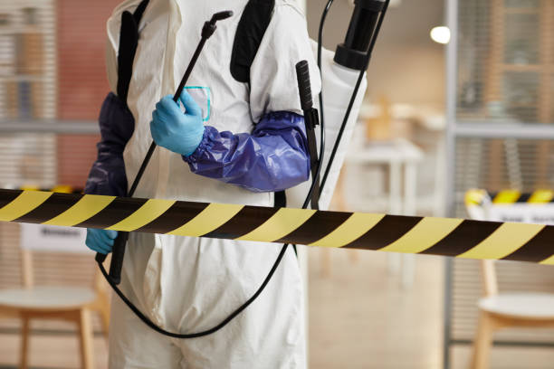 Professional Odor Removal technician working in Bay City, OR